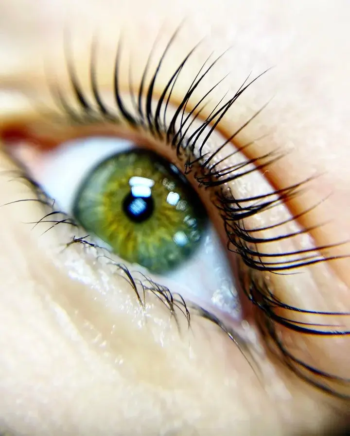 Lash Lift result 1