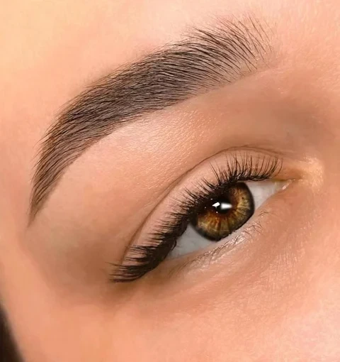 Eyebrows