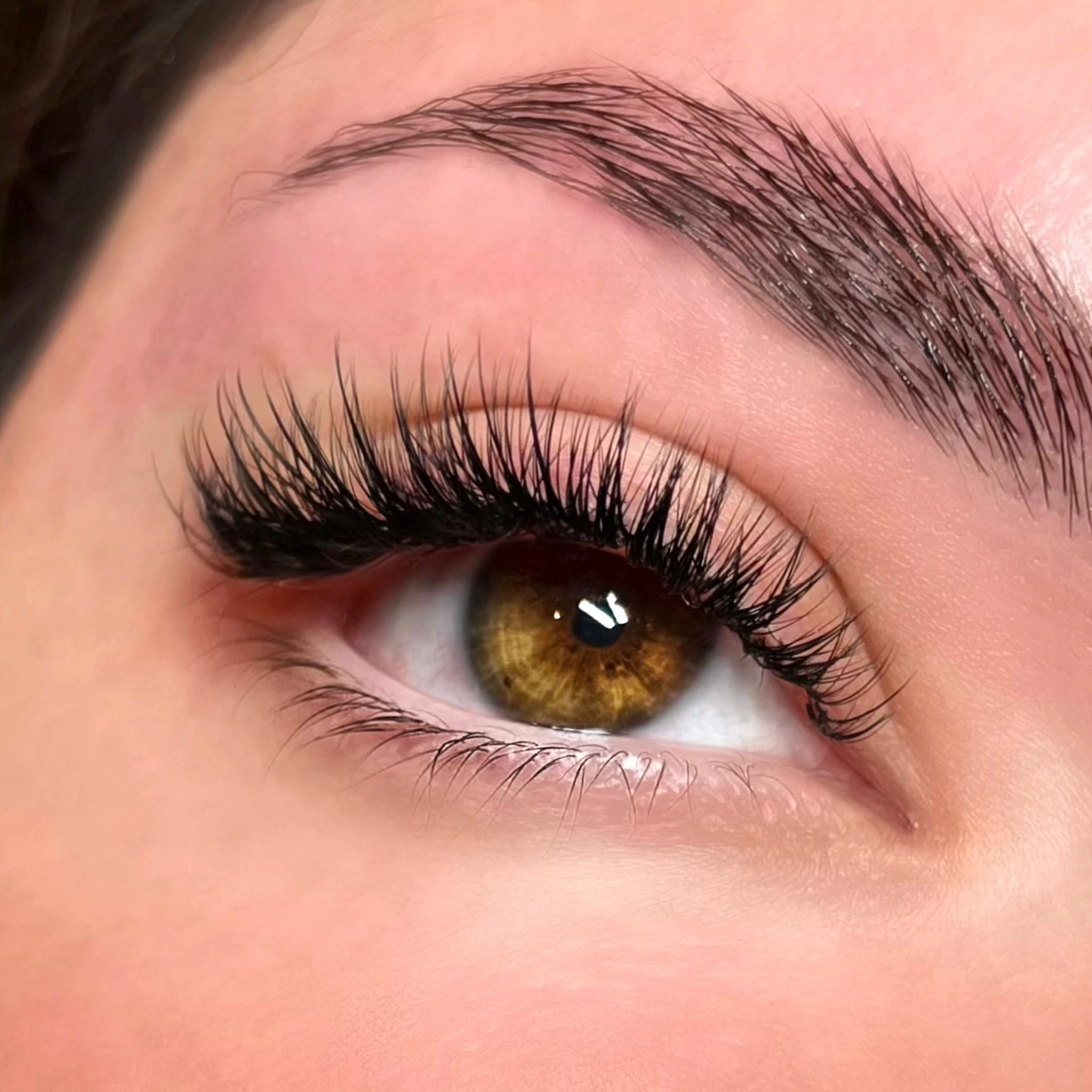 Volume Lash Extensions: Full Set, Refills & Pricing